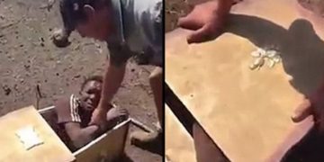 racism-south-africa