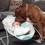 pit-bull-and-baby